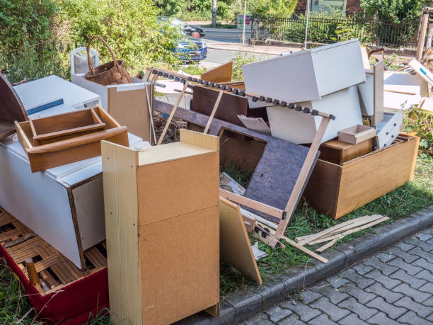 Best Furniture Removal Near Me  in Elk River, MN