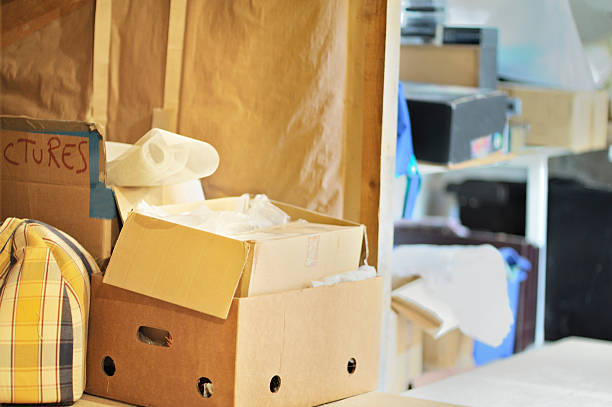 Best Electronics Removal Services  in Elk River, MN